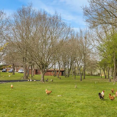 Cabin In The Countryside Sible Hedingham 外观 照片